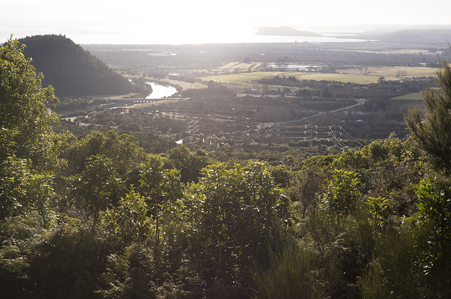 Q1100340/></td>
		<td class=